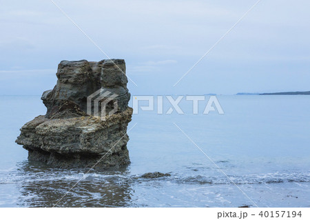 ニュージーランド オークランド タカプナビーチ ニュージーランド オークランド タカプナビーチ 40157194