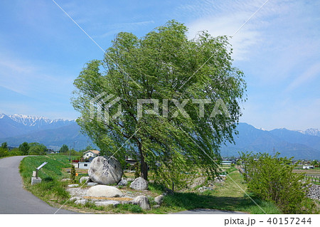押野崎石碑　犀川・穂高川・高瀬川合流点　　安曇野　春 40157244