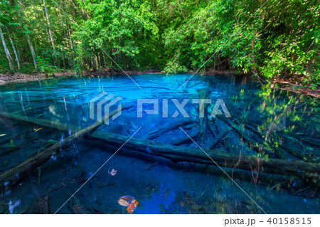 Beautiful Emerald pool in deep Forest at Krabi THA Beautiful Emerald pool in deep Forest at Krabi THA 40158515