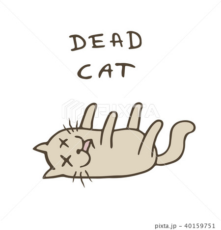 Cute cat was poisoned and died. Vector 40159751
