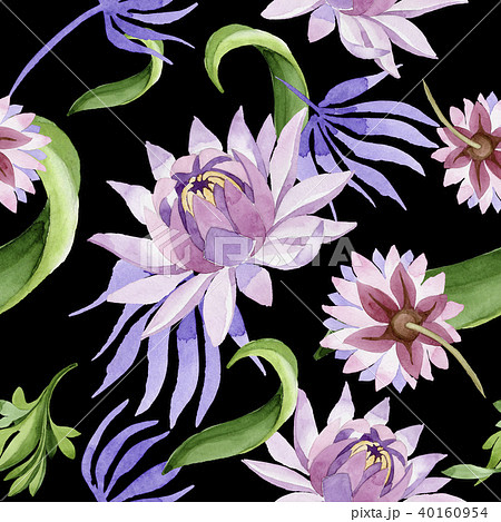 Pink water lily. Floral botanical flower. Wild spring leaf wildflower pattern. 40160954