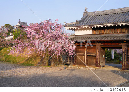 鍮石門 鍮石門 40162018