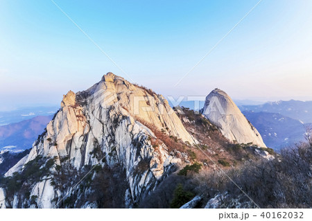 北朝鮮産 白雲台 インスボン 40162032