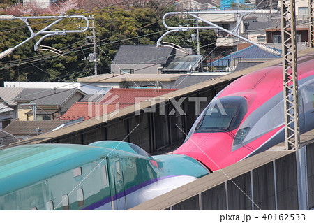 北海道新幹線H5系＆秋田新幹線E6系　連結部分 40162533