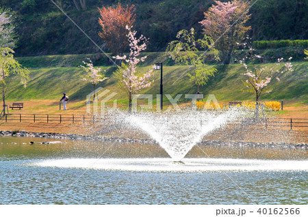 天童公園（舞鶴山） 40162566