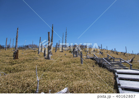 大台ヶ原 40162807