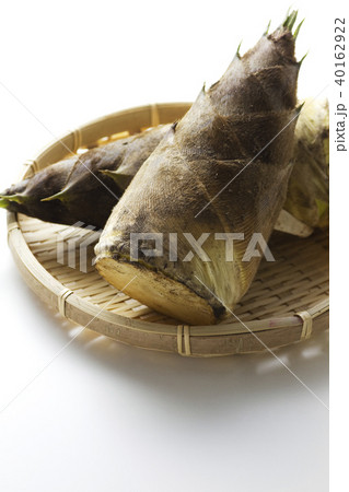 たけのこ17 40162922