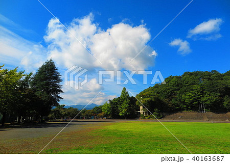 ハイキングコースの風景5 ハイキングコースの風景5 40163687
