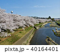 桜並木 40164401