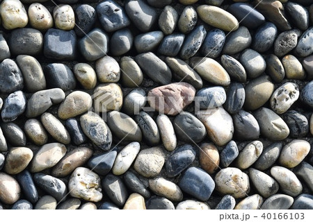 玉石の壁 自然環境 持続可能 sdgs 素材 背景 クレインパーク 出水市 鹿児島県 玉石の壁 自然環境 持続可能 sdgs 素材 背景 クレインパーク 出水市 鹿児島県 40166103