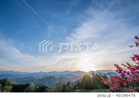 アルプス展望広場の夕景 40166476