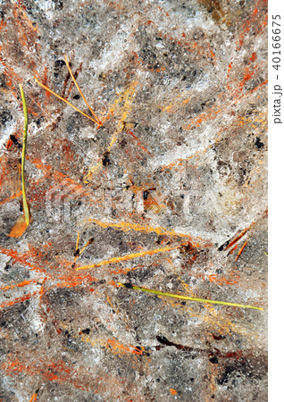 Abstract background. Melting ice in the forest Abstract background. Melting ice in the forest 40166675