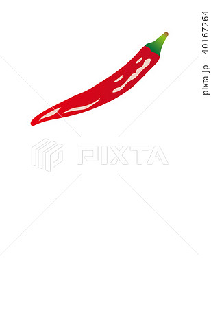 野菜あかとうがらし 40167264