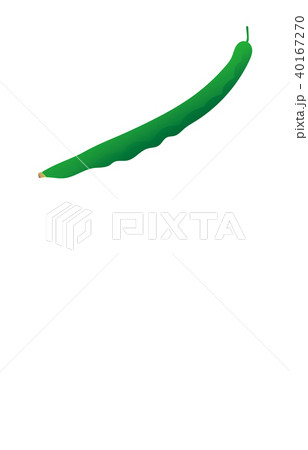野菜いんげんまめ 40167270