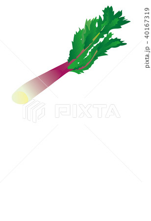 野菜ウド 野菜ウド 40167319