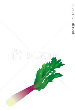 野菜ウド 野菜ウド 40167320