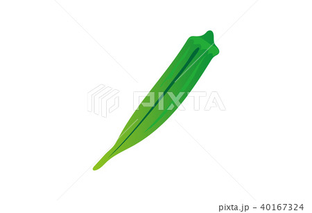 野菜オクラ 40167324