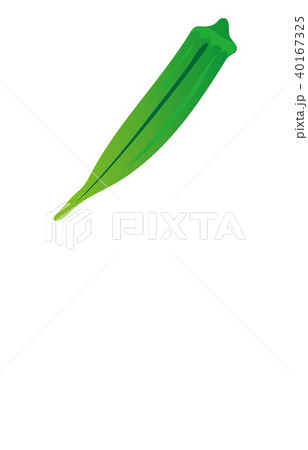 野菜オクラ 40167325