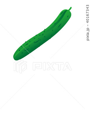 野菜キュウリ 40167343