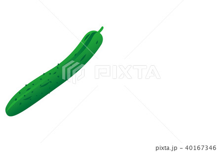 野菜キュウリ 野菜キュウリ 40167346