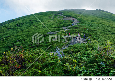 西穂高岳・独標へ向かう登山者 西穂高岳・独標へ向かう登山者 40167728