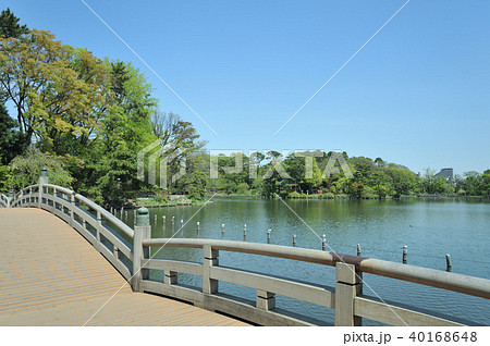 洗足池公園 洗足池公園 40168648