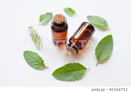 Holy basil essential oil with leaves. 40168753