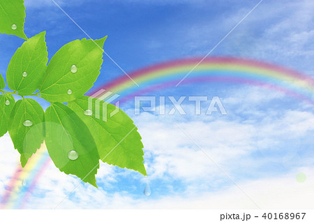 雨上がりの新緑と虹のイラスト素材