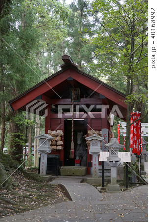 大杉神社 勝馬神社 大杉神社 勝馬神社 40168992