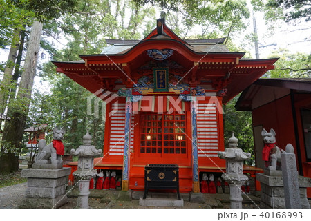 大杉神社　稲荷神社 40168993