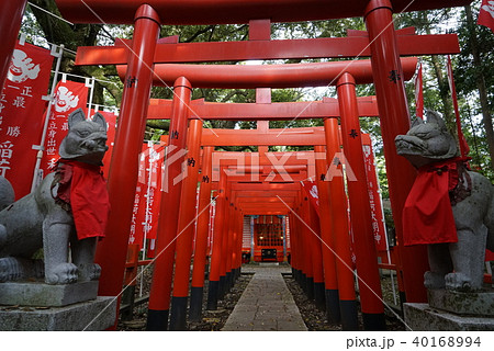 大杉神社　鳥居 40168994