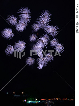 常総きぬ川花火 常総きぬ川花火 40169577
