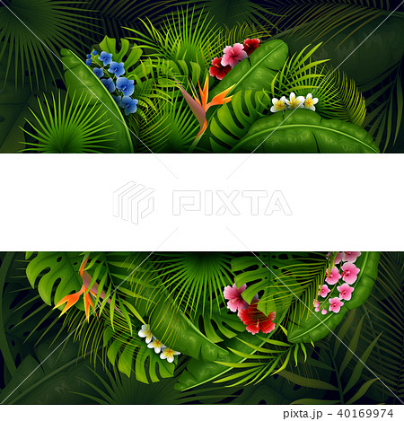 Green Tropical leaves and flower. Vector foliage w 40169974