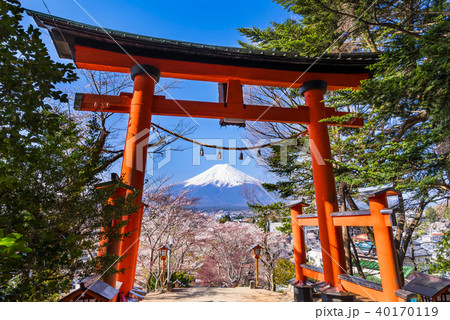 新倉富士浅間神社の鳥居と富士山の写真素材 [40170119] - PIXTA