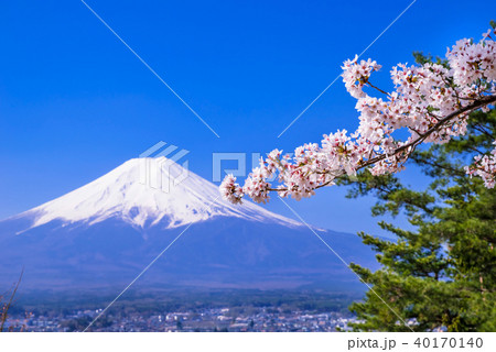 桜の花と春の富士山 桜の花と春の富士山 40170140