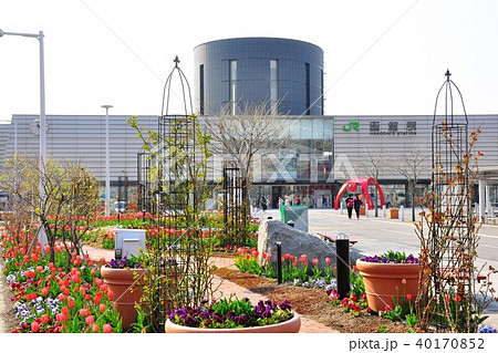 JR函館駅と駅前広場 JR函館駅と駅前広場 40170852