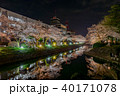 富山/松川べりの夜桜 40171078