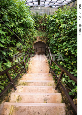 石垣島鍾乳洞の風景 40171396