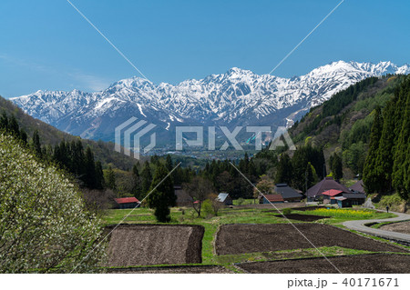 白馬青鬼地区の春 白馬青鬼地区の春 40171671