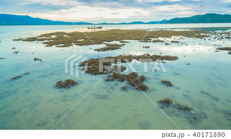 Coral emerges from the water at a reduced water Coral emerges from the water at a reduced water 40171890