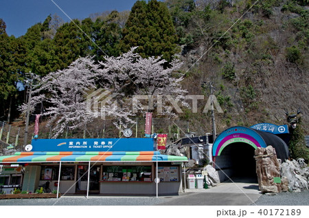 竜ヶ岩洞 竜ヶ岩洞 40172189
