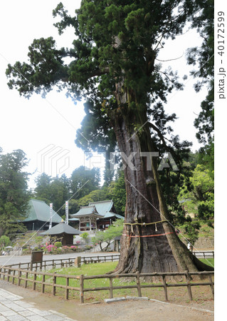 清澄寺 (鴨川市) 40172599