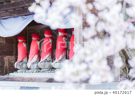 薬王寺の桜 40172617