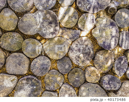 Sidewalk of chopped logs  wooden stumps 40173486