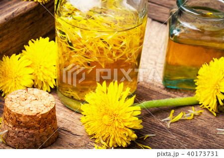 Extraction of flowers dandelions 40173731