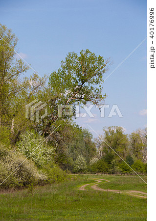 Spring landscape on a sunny day. Spring landscape on a sunny day. 40176996