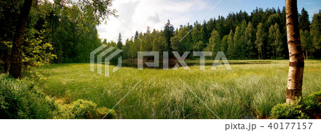 Grass overgrown pond with a dramatic cloudy sky. Grass overgrown pond with a dramatic cloudy sky. 40177157