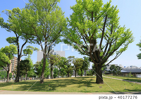 中野四季の森公園 中野四季の森公園 40177276