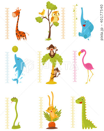Flat vector set of rulers for measuring kids growth with cute animals and birds. Decorative meter 40177540