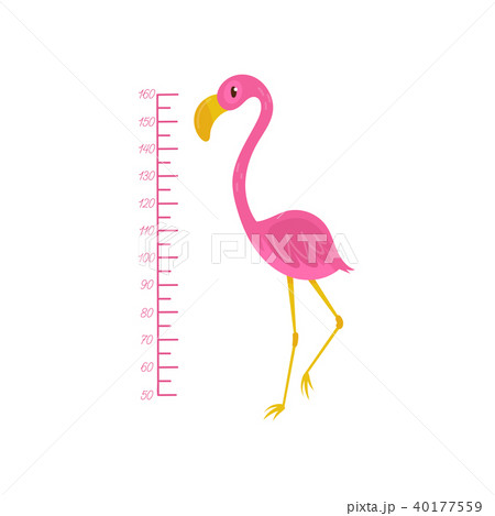 Kids height chart and flamingo. Exotic bird with pink feathers, yellow beak and long thin legs. Wall 40177559